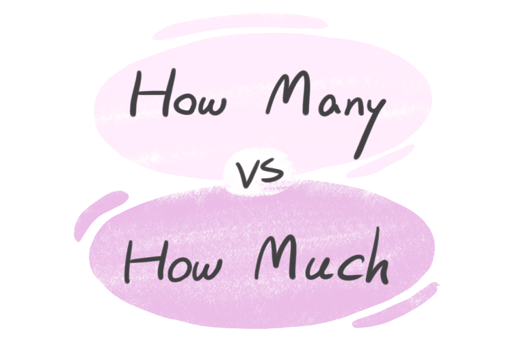 تفاوت How much و How many : آموزش کاربردی با مثال تفاوت How much و How many