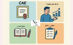 مدرک CAE